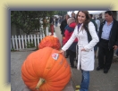 Pumpkin (32) * 1600 x 1200 * (1.08MB)